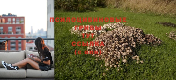 прущая мука Струнино