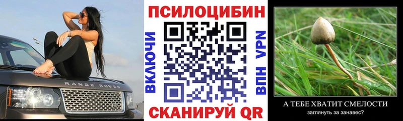 купить закладку  Великие Луки  нарко площадка какой сайт  Псилоцибиновые грибы Magic Shrooms 