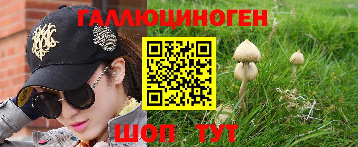 Псилоцибиновые грибы Magic Shrooms  Вход с VPN  Великие Луки 