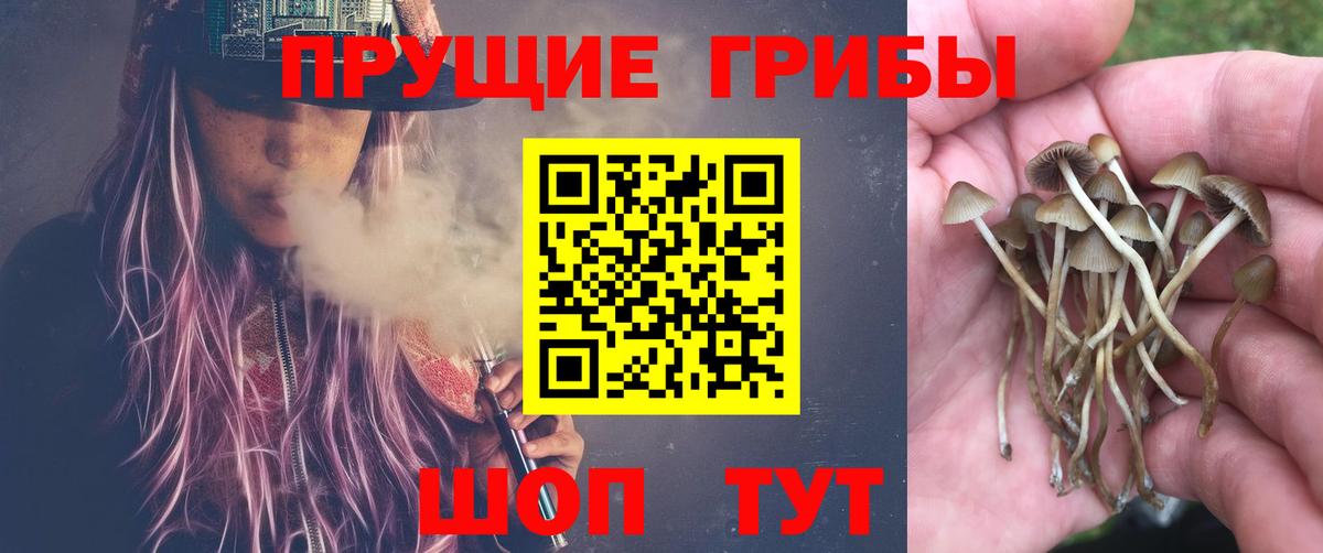 Псилоцибиновые грибы MAGIC MUSHROOMS  Великие Луки 